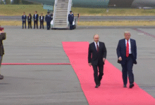 Встреча Путина и Трампа