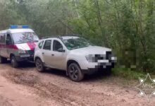 Спасатели помогли выйти из леса заблудившимся дедушке с внуком