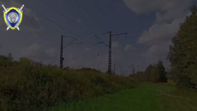 В Минской области подросток получил удар током, забравшись высоковольтный столб ЛЭП