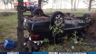 ДТП под Могилевом