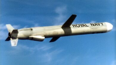 Ракета Tomahawk