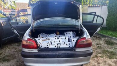 Белорусские таможенники раскрыли схему нелегального импорта сыра из Европы