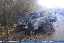 ДТП в Могилевской области