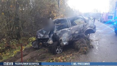 ДТП в Могилевской области