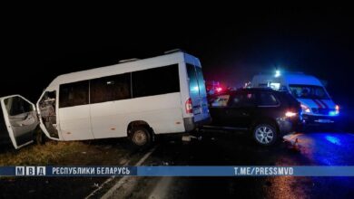 ДТП в Гомельской области