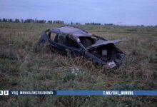 ДТП в Минской области