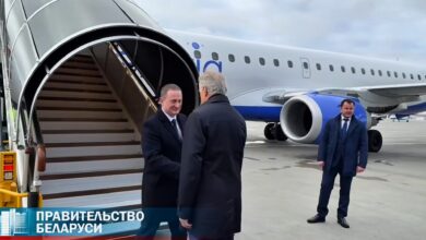 Турчин прилетел в Петербург