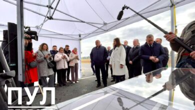 Лукашенко доложили о работе перепелиной фермы замкнутого цикла «Кривичи»