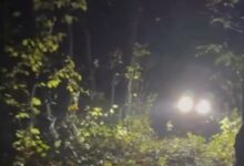 В Брестской области спасатели помогли заблудившейся в лесу женщине