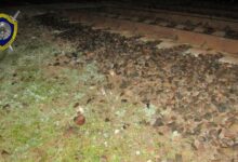 В Пинске мужчина попал под поезд