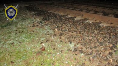 В Пинске мужчина попал под поезд