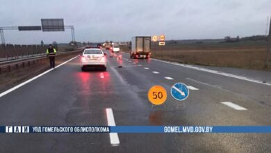 В Гомельской области на трассе насмерть сбили пешехода