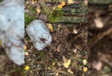 Под Брестом с поличным задержали наркозакладчицу