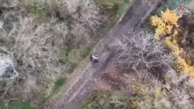 Российские войска освободили Новоуспеновское Запорожской области