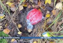 В Гомельской области задержали наркокурьера