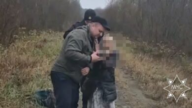 В Минской области спасатели нашли пожилую женщину, заблудившуюся в лесу