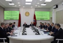 Комитет госконтроля выявил ряд нарушений в лесной отрасли Беларуси