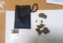 На погранпереходе «Брест» таможенники изъяли грибы с психотропами