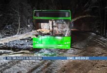 ДТП в Гомельской области