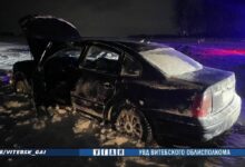 ДТП в Оршанском районе