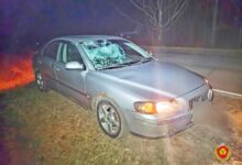 ДТП под Молодечно