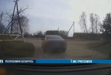 Правоохранители в Могилевской области для остановки водителя «Ауди» использовали оружие