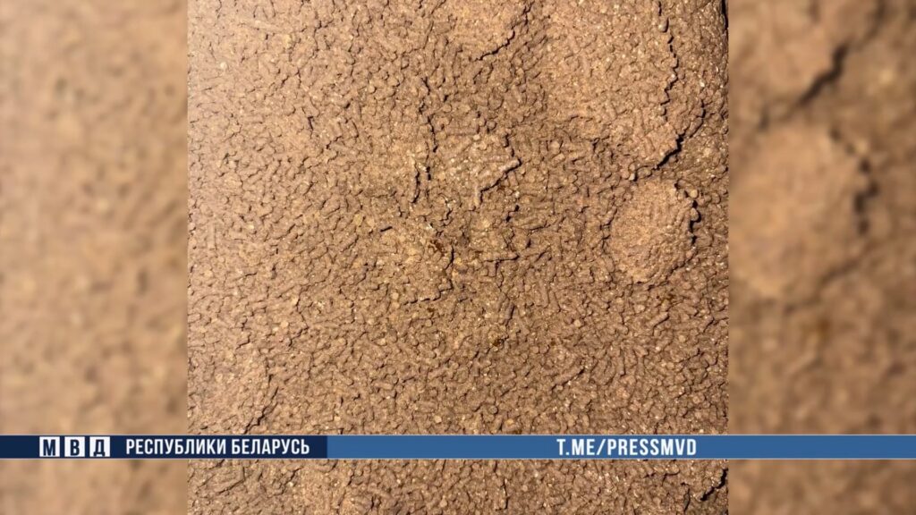 У жителя Гомельской области изъяли крупную партию насвая