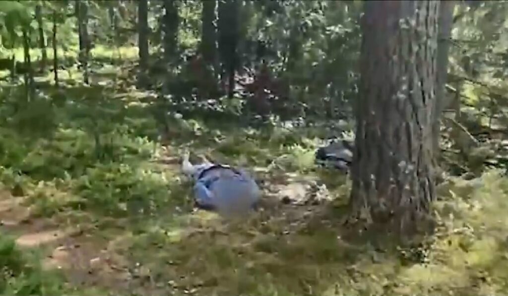 Пограничники обнаружили труп беженца на границе с Латвией
